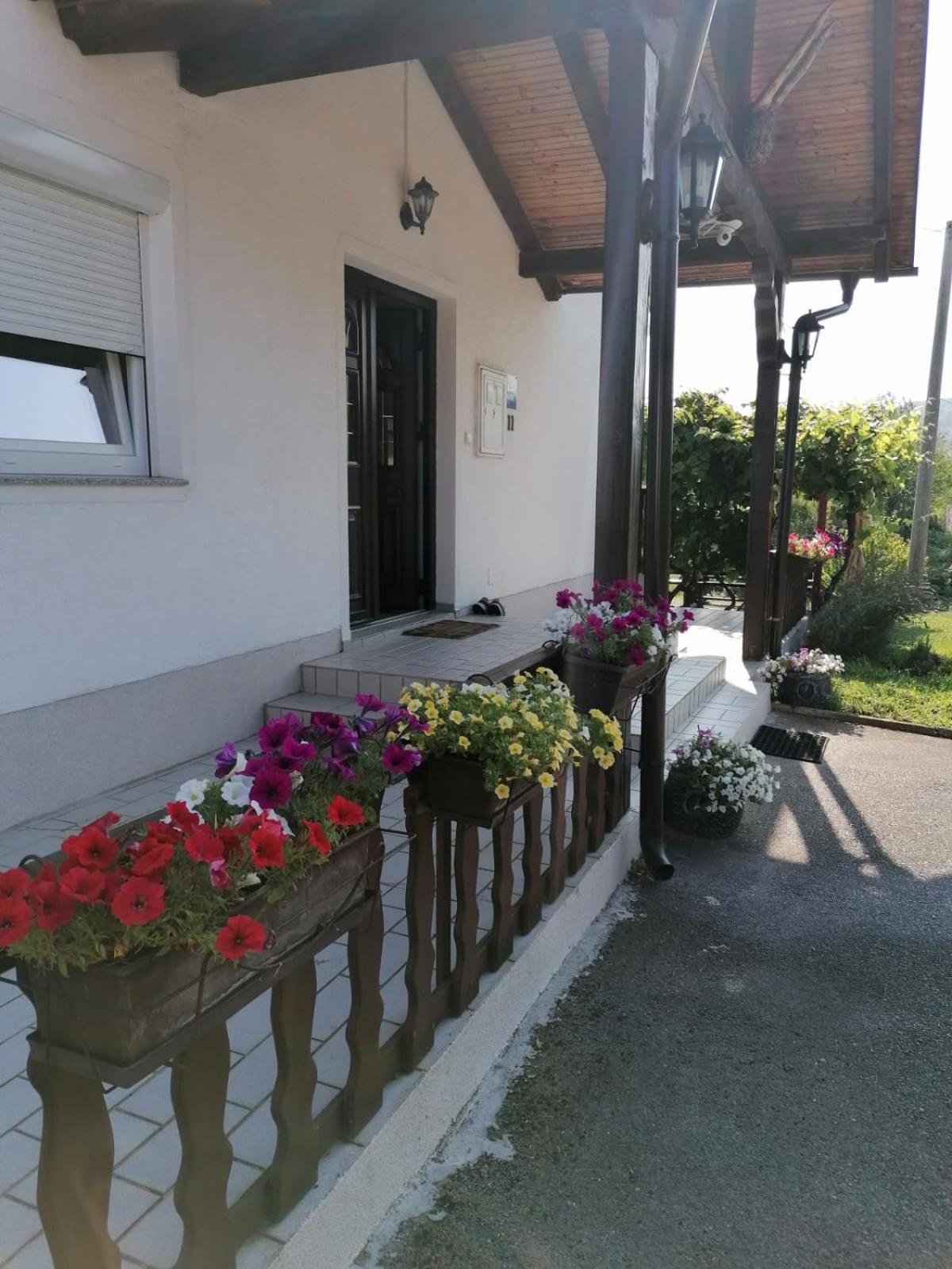 Hotel House Viktoria à Selište Drežničko Extérieur photo