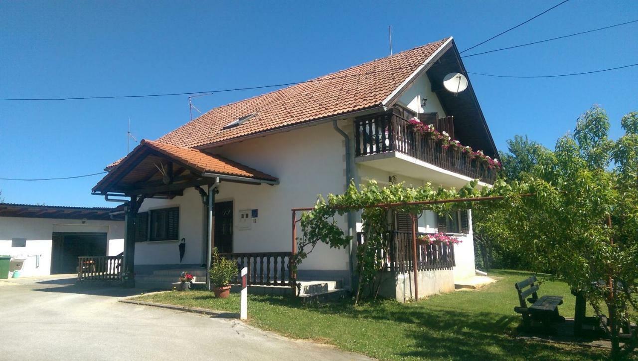 Hotel House Viktoria à Selište Drežničko Extérieur photo