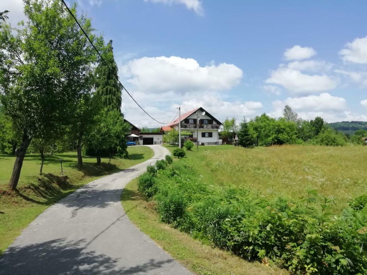 Hotel House Viktoria à Selište Drežničko Extérieur photo