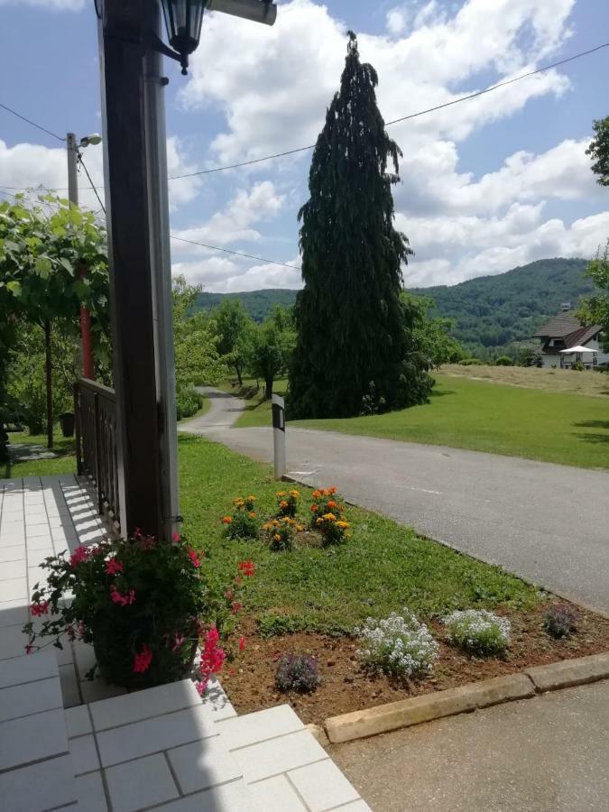 Hotel House Viktoria à Selište Drežničko Extérieur photo