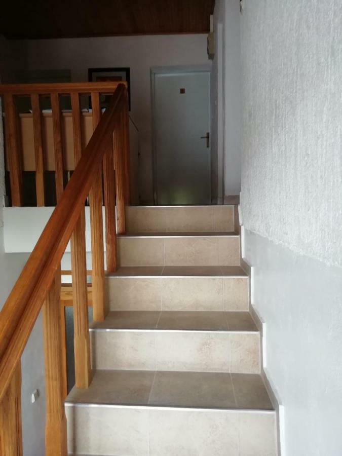 Hotel House Viktoria à Selište Drežničko Extérieur photo